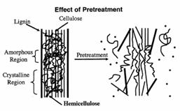 Object of Pretreatment